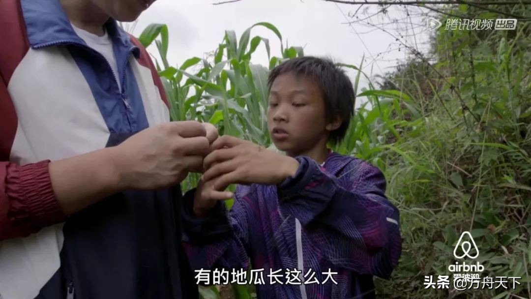 奇遇人生看哭了,奇遇人生大鹏插曲