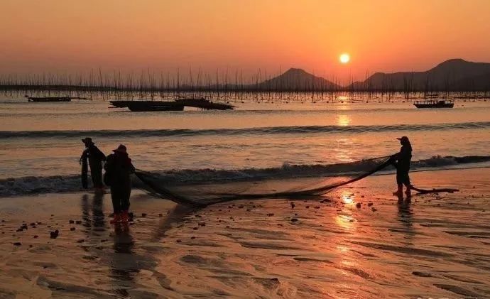 霞是光，浦是海：光与海的对话，吟唱出最美的滩涂