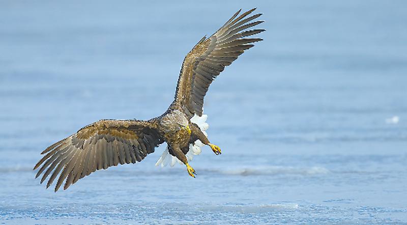 林草科普视频,林草科普