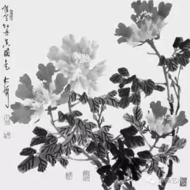 写意牡丹的画法步骤视频教程,王雪涛写意牡丹画法视频大全