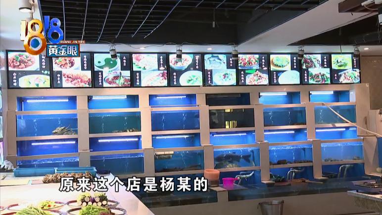 上门讨钱还被人打,上门要钱被打还手算谁的责任