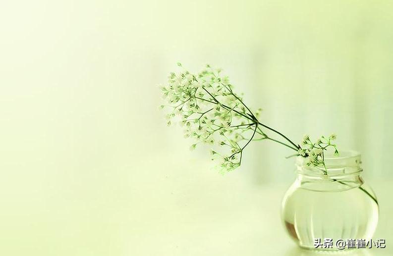 极简生活与不凡人生,极简生活遇见美好