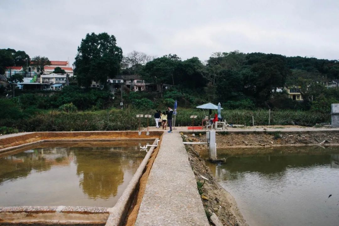 见证了香港从小渔村到大城市,香港盐业历史