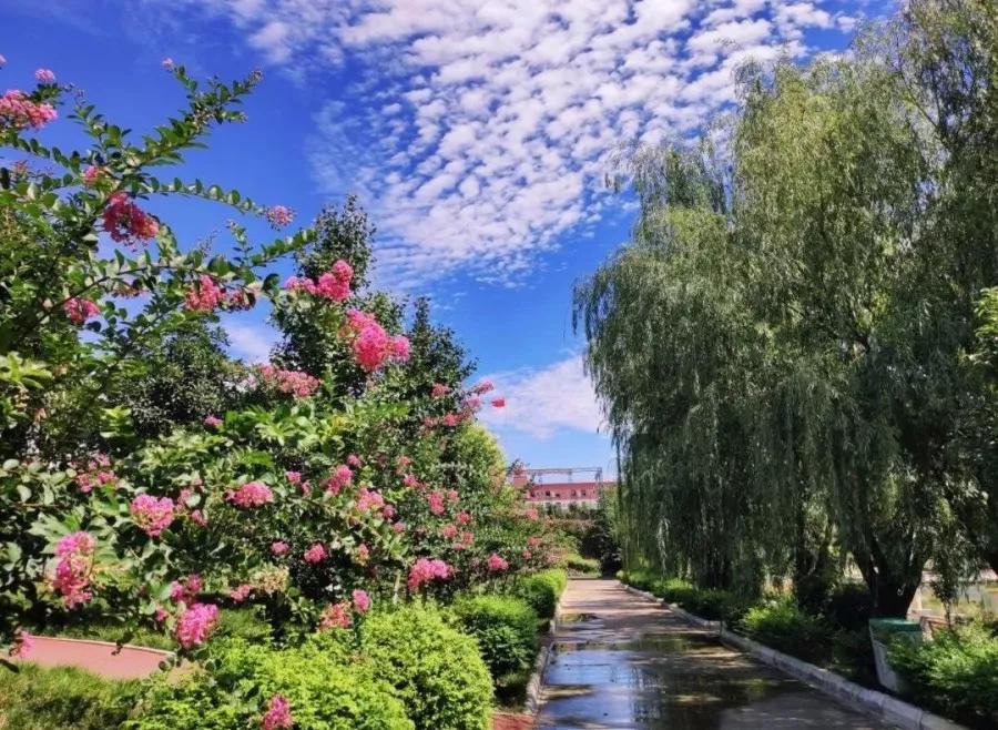 探校四川,成都汽车职业技术学校研学基地