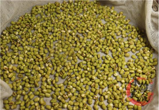 豆芽怎么发最快又好吃,教你发豆芽的小技巧你学会了吗