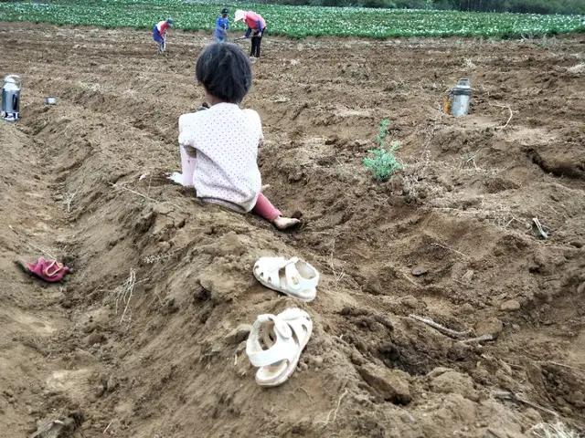 感人催人泪下的歌曲酒干倘卖无,酒干倘卖无催人泪下的感人视频