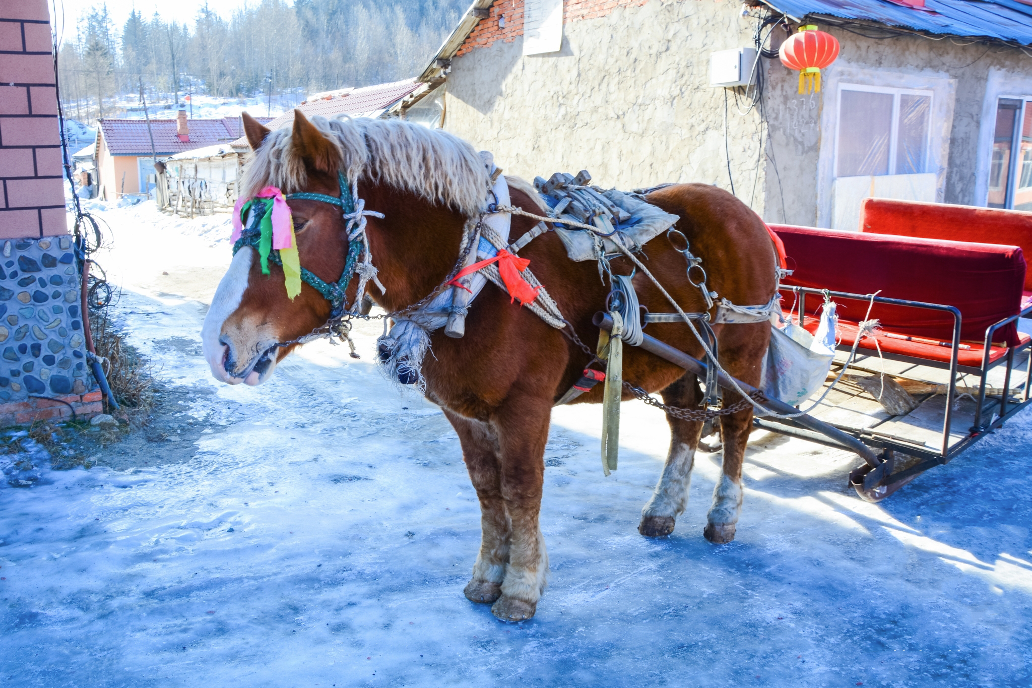 线路推荐|鲜为人知二浪河——雪乡可不是东北唯一的童话村落