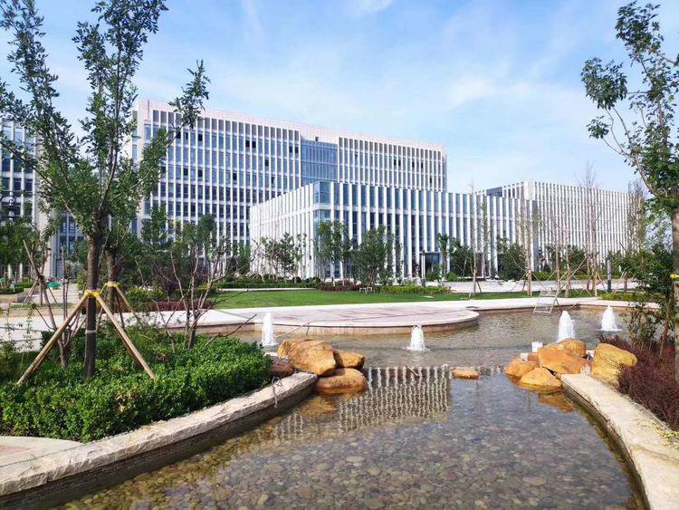 医学护理产妇产后盆底肌修复实操,产科医生盆底肌修复视频