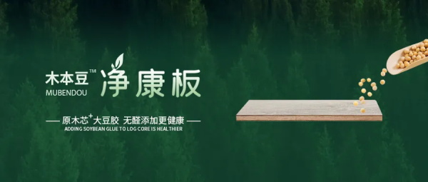 福庆木本豆甲醛含量是多少,福庆木本豆测试