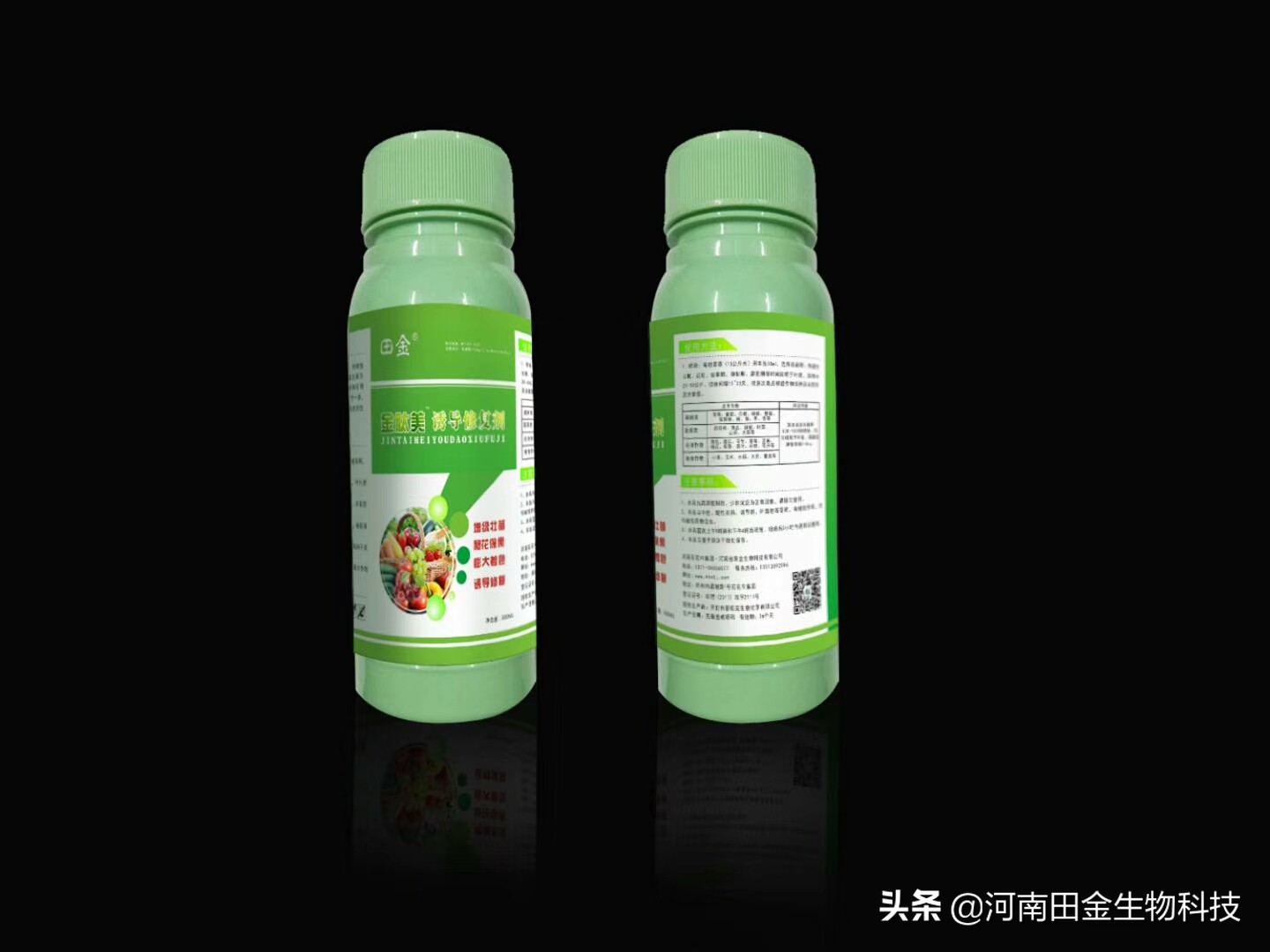 商麦1号选育报告