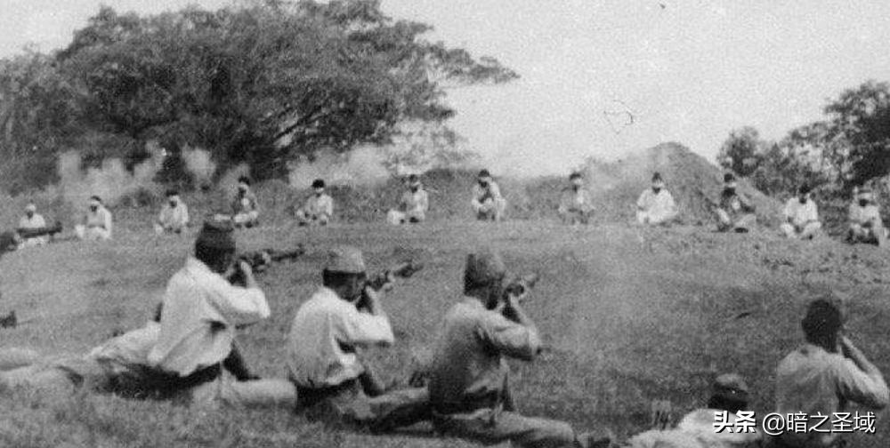 中国抗战实录1937到1946,华侨抗战