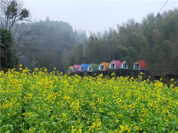 怀化民宿排行榜前十名,怀化适合亲子的民宿推荐