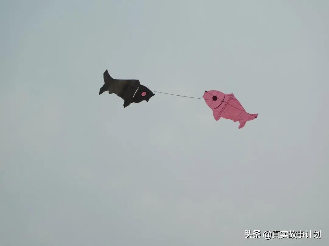 故事：和王祖贤一起玩贴吧的大神们