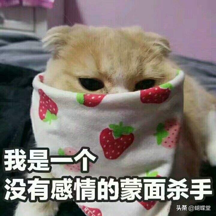 戴维诗小魔裤丨爱的健康看不见