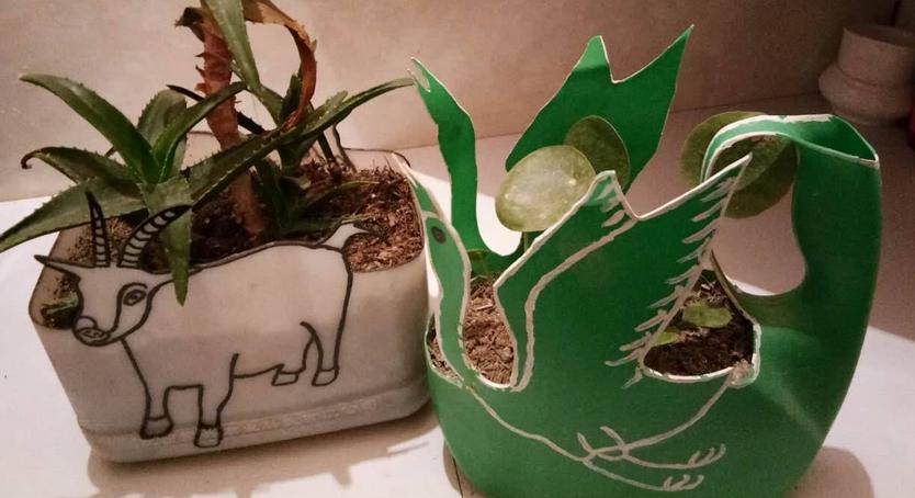 塑料瓶养花妙用大全,塑料瓶养花好还是玻璃瓶养花好