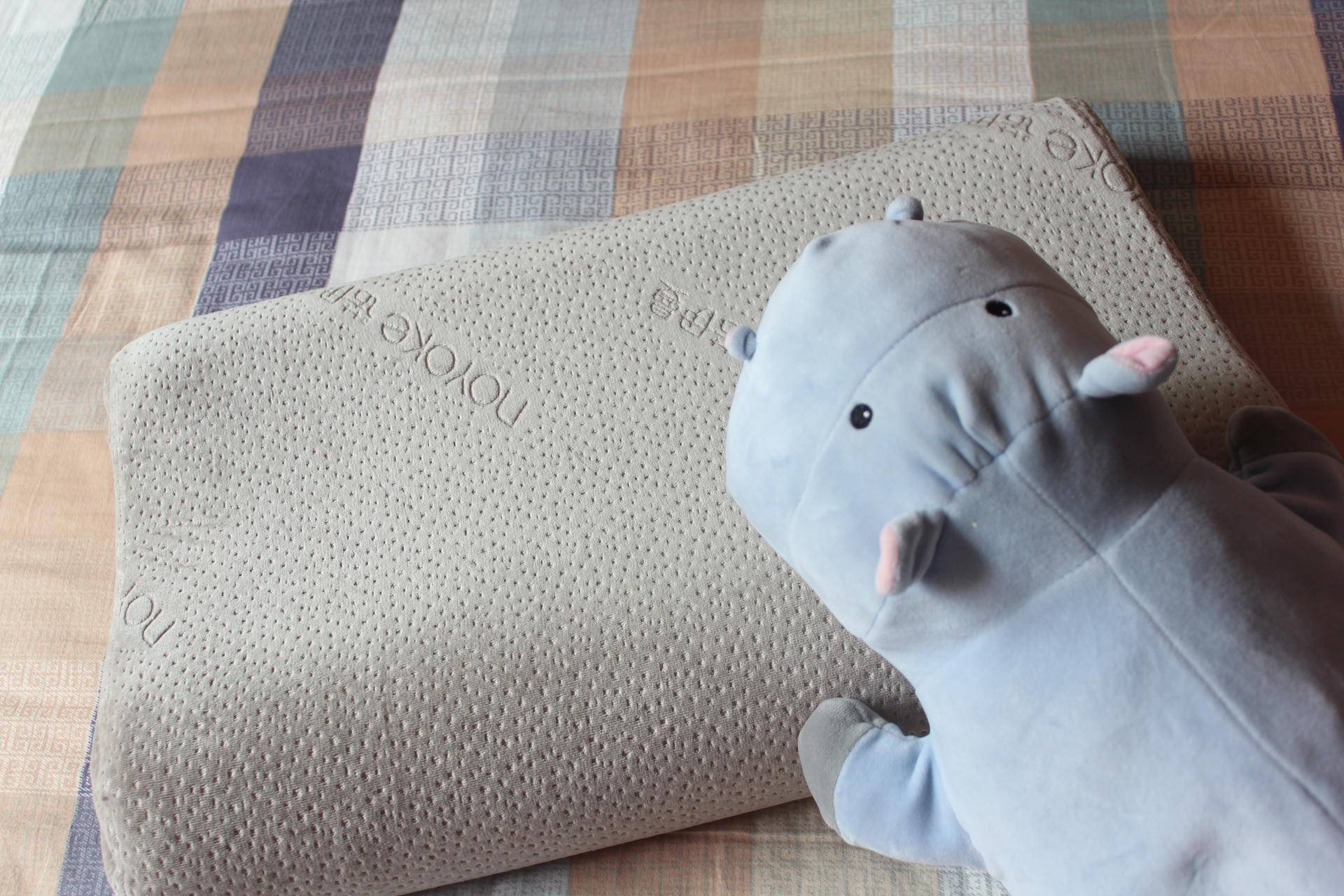 俗话说高枕无忧枕头是越高越好吗,枕头选什么材质的睡得舒服又健康