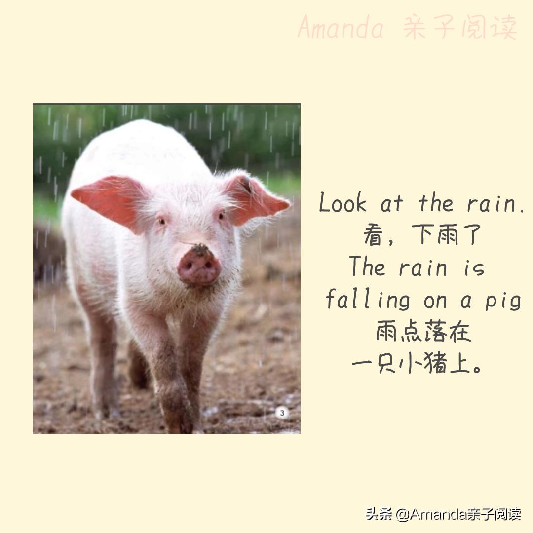 英语绘本therain,英语绘本rain电子版