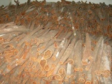 游四方全部视频,游四方四川