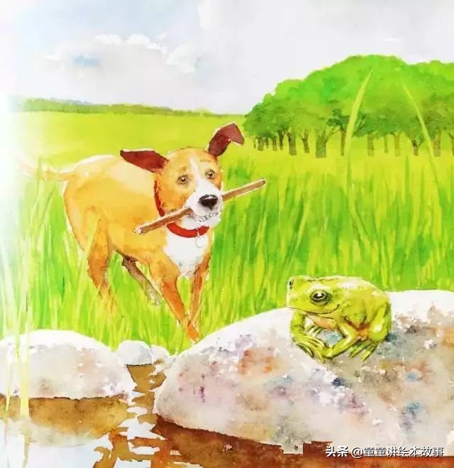 绘本故事有声小熊进城,绘本故事大城市里的小象