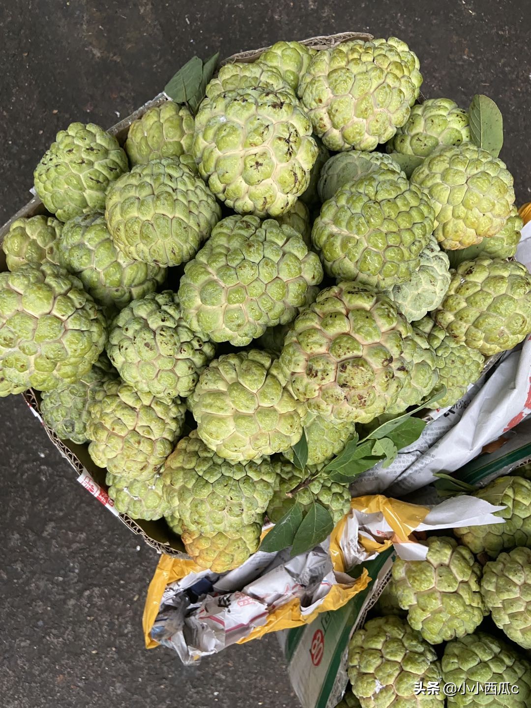 海南海口最大的水果批发市场,海口南北水果批发市场今日行情