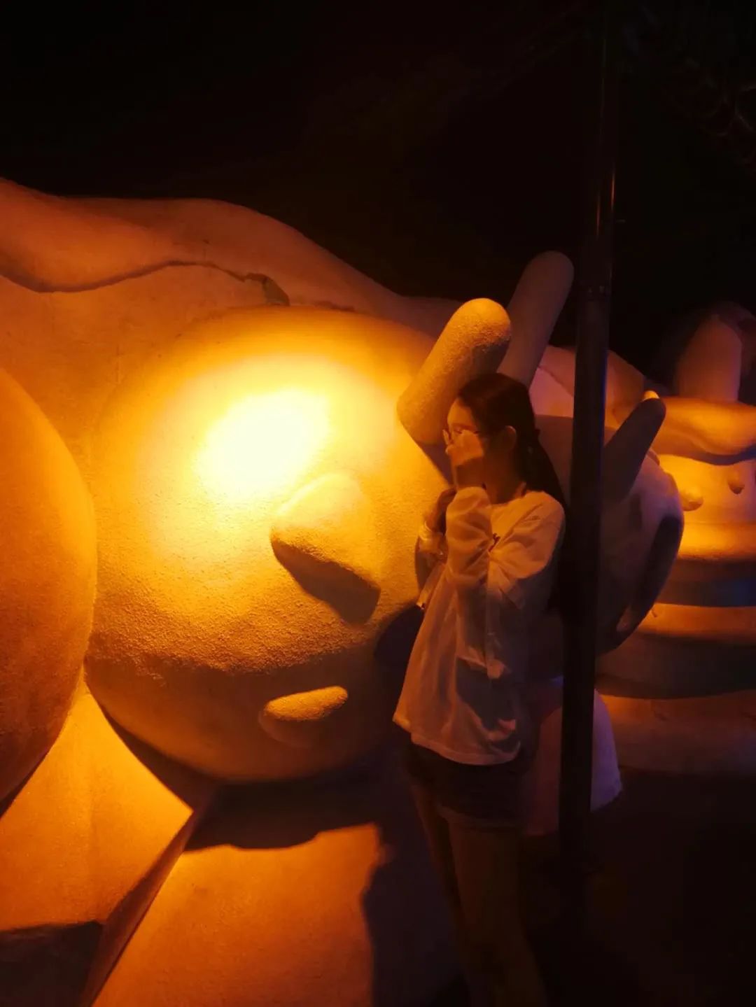 中国整容第一人现状,整容失败中国第一人