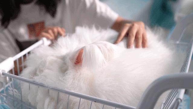 汉口宝藏,4家宝藏店铺