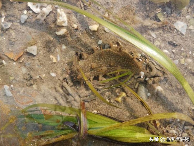 大连这个小岛不去看一看，真的会后悔