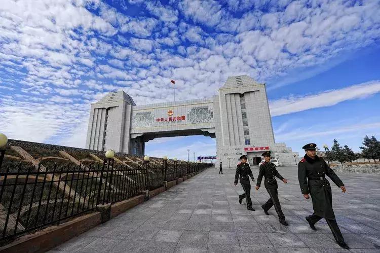 牛原本个人资料,内蒙古牛能有多大