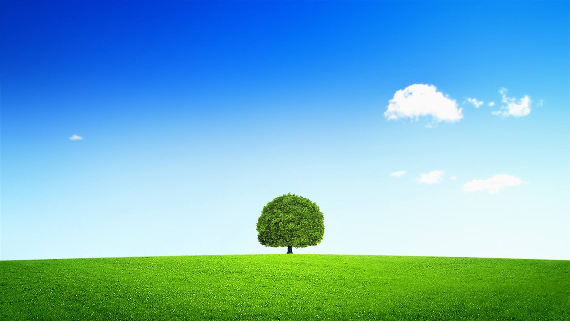 学好理论课筑牢思想政治根基,办好思想政治理论课最关键的是