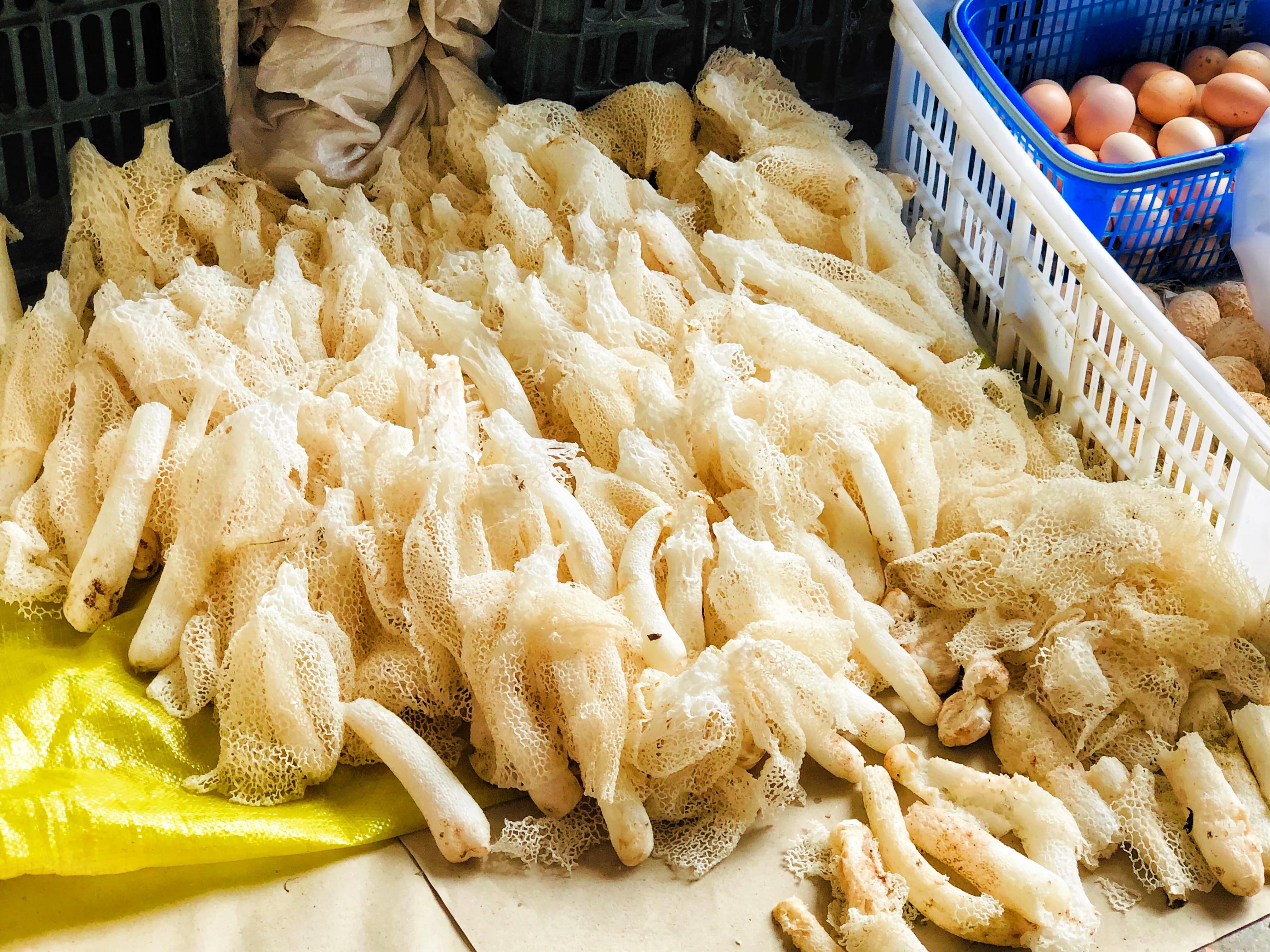 天屿湖适合避暑吗,天岛湖避暑旅游