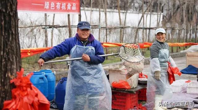 卖鱼大姐录音,菜市场卖水产阿姨闲言碎语