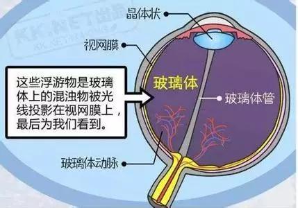 有哪些保护眼睛的小妙招100字,眼科医生推荐怎么保护眼睛