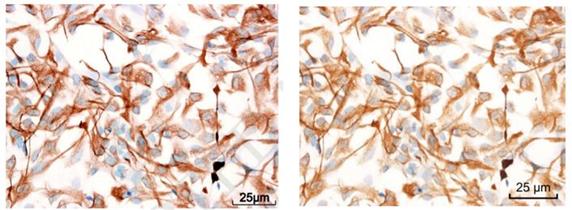 华北理工大学唐山人民医院,华北理工大学唐山医学院