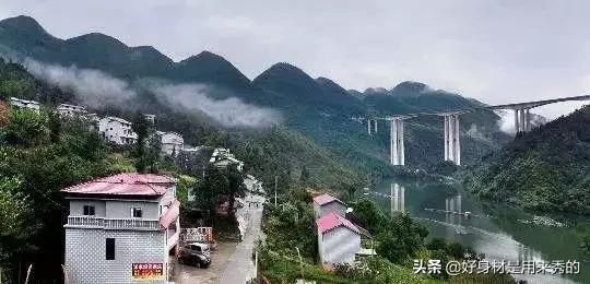 触目惊心,这才是美国黑人被歧视的根源