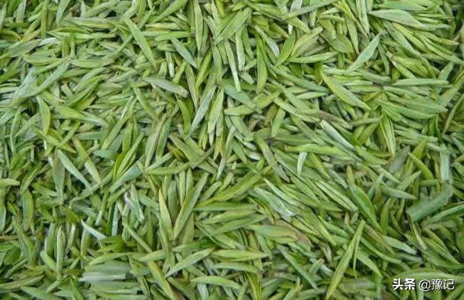 信阳毛尖新茶好喝还是老茶好喝,信阳毛尖单芽与一芽一叶哪种好喝