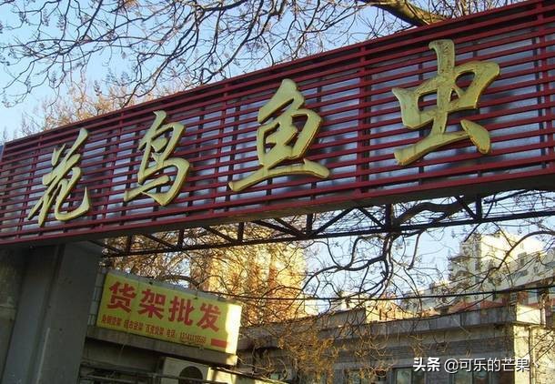 现在进石家庄批发市场要什么 (石家庄各个批发市场在哪)