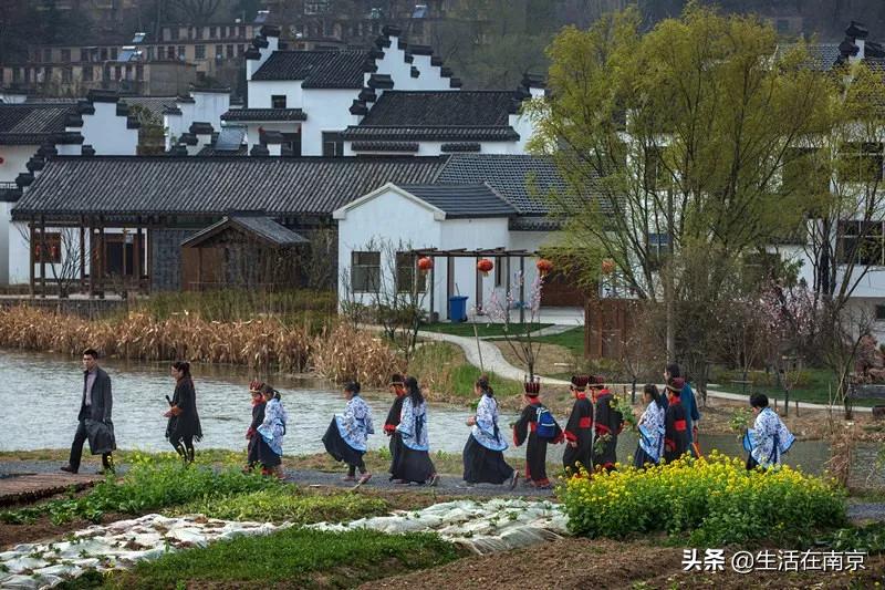 2019年南京美丽乡村游,南京周边美丽乡村游推荐