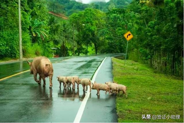 美国签证东京转机免签吗,持美国签证去多米尼加是免签吗