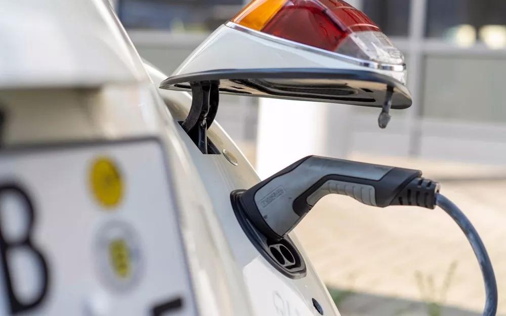 甲壳虫能彻底复活吗,造型奇特的甲壳虫