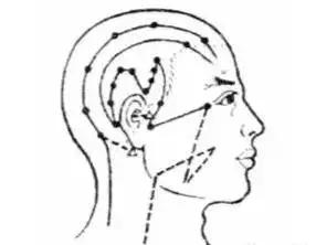 三高拍打健身操30分钟完整版,拍打操降三高养气血