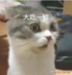 如果粮食价格暴涨对股市影响,粮食涨价的最佳方法