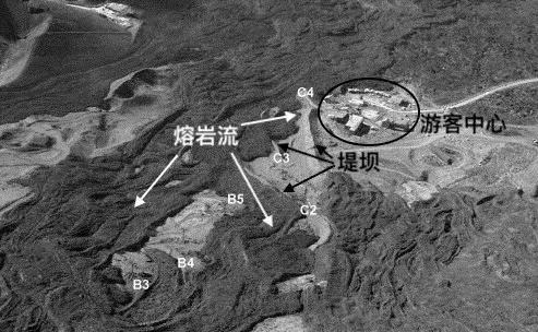 山上“飞”来只火凤凰，这里的居民却要杀掉它？