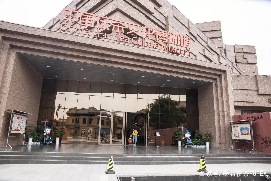 会友会景会茯茶品古品今品墨君|陕西巨鹰公司莅临金叶茯茶参观