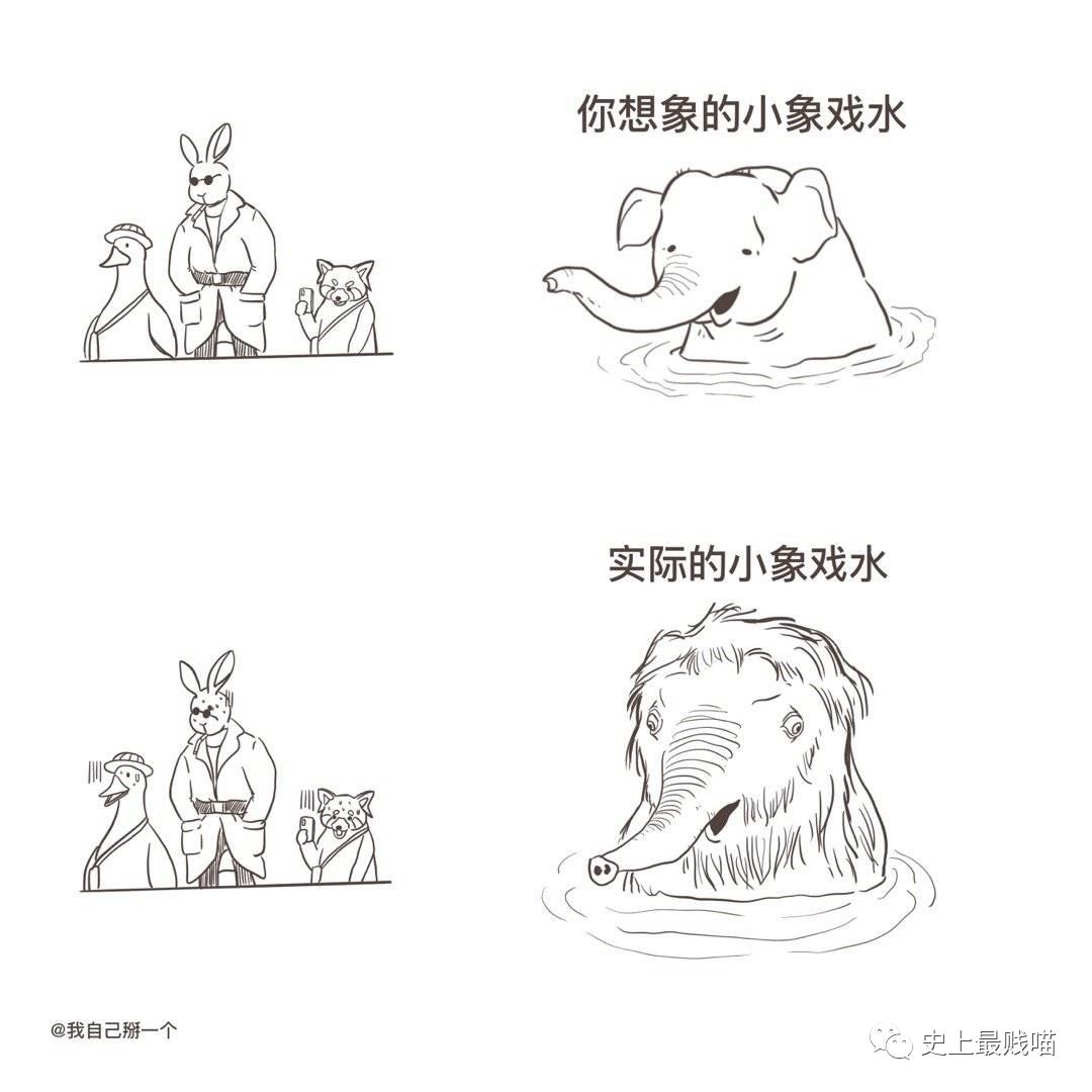 第一次看到把抖m说的这么清新脱俗的...实在太形象了哈哈哈哈哈!