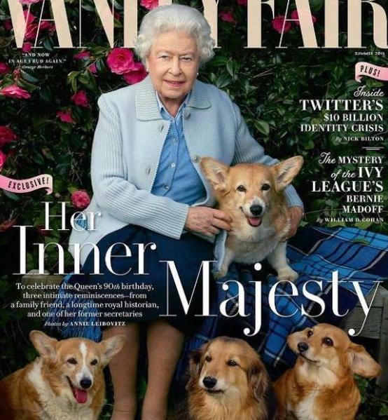 柯基犬的10个优点不养你会后悔,盘点柯基犬的缺点养之前得先知道