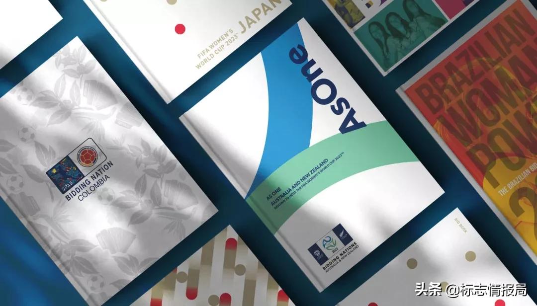 申办2023女足世界杯,女足世界杯申办城市