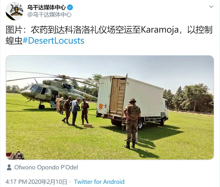 这次的蝗虫灾害为什么这么大,此次的蝗灾有多严重