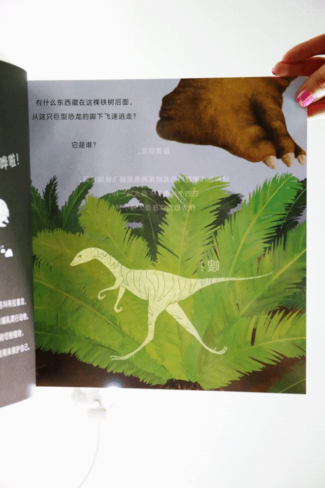 这套让娃沉迷一整天的科普书，连大人都忍不住偷着玩！畅销300万