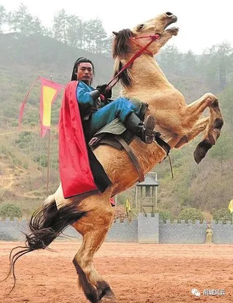 徐志顺陕西商南,徐志顺