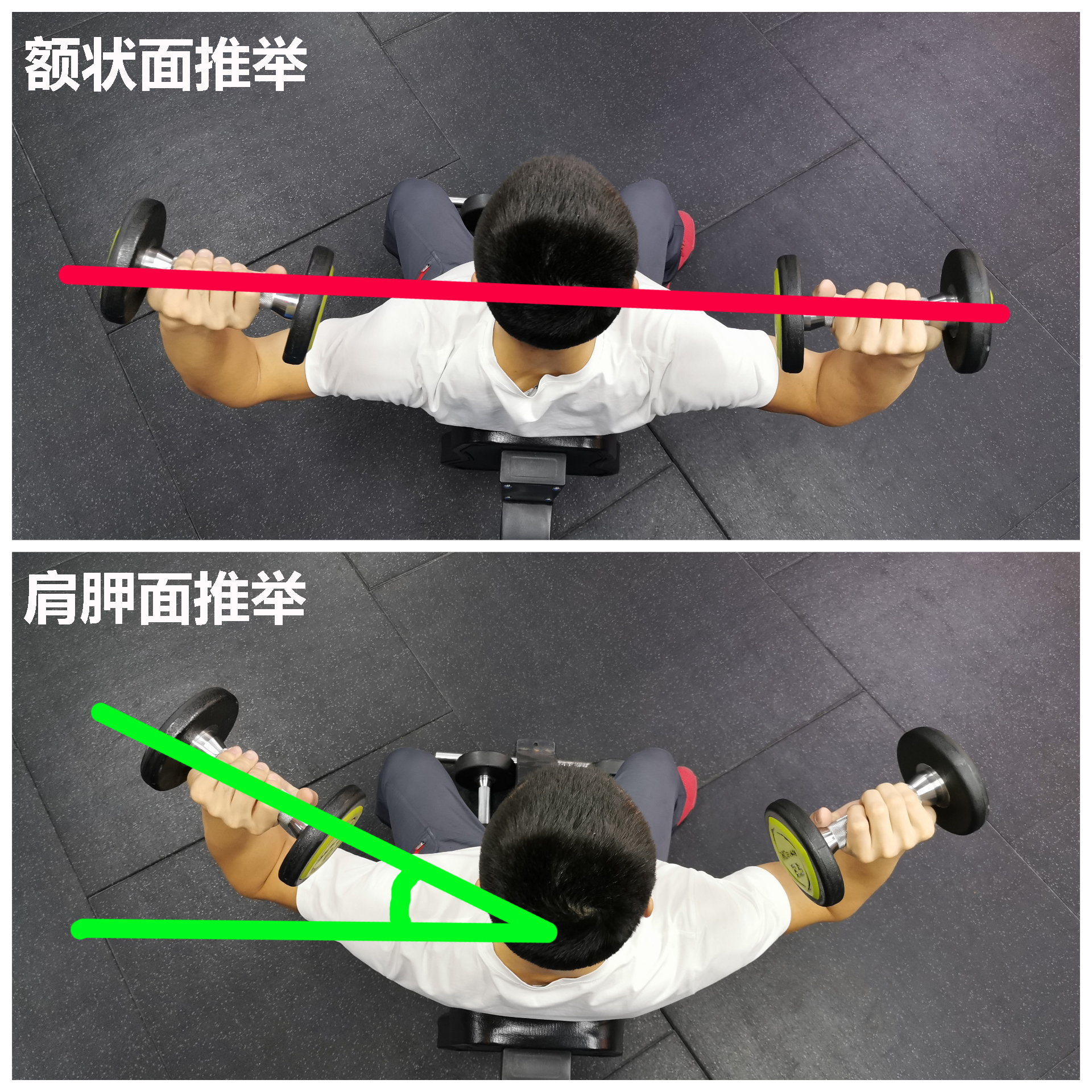 增肌训练指的是,增肌力量的基本知识